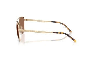 Vue latérale Ralph Lauren RL7091 (947873)