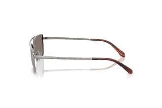 Seitenansicht Ralph Lauren RL7092 (90026G)