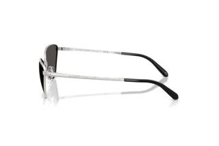 Seitenansicht Ralph Lauren RL7093 (900187)