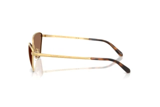 Seitenansicht Ralph Lauren RL7093 (900473)