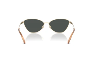 Vue arrière Ralph Lauren RL7093 (911687)