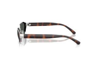 Seitenansicht Ralph Lauren RL7094 (900187)
