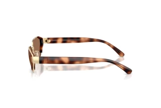 Seitenansicht Ralph Lauren RL7094 (911673)