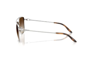 Vue latérale Ralph Lauren RL7096 (900113)