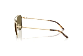 Vue latérale Ralph Lauren RL7096 (911673)