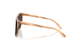 Seitenansicht Ralph Lauren RL8201 (617987)