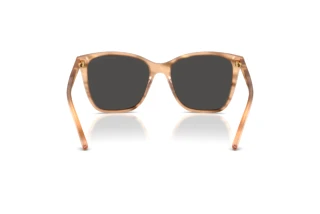 Rückansicht Ralph Lauren RL8201 (617987)