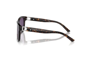 Vista laterale Ralph Lauren RL8203QU (50031A)