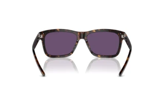Vista posteriore Ralph Lauren RL8203QU (50031A)