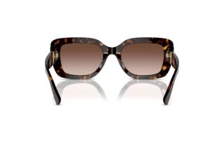 Vue arrière Ralph Lauren THE NIKKI (RL8217U - 500313)