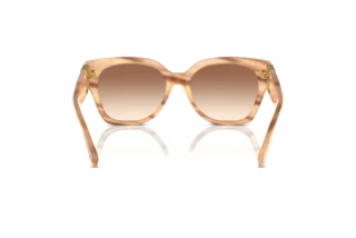 Vista posteriore Ralph Lauren THE OVERSZED RICKY (RL8221 - 617913)