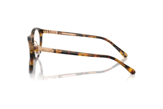 Vue latérale Ralph Lauren THE QUINCY (RL8223 - 5134BF)
