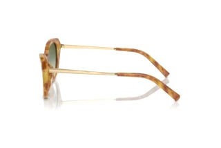 Vue latérale Ralph Lauren THE ELLA (RL8224U - 53043M)