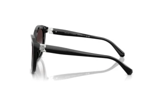 Seitenansicht Ralph Lauren RL8225U (50018G)