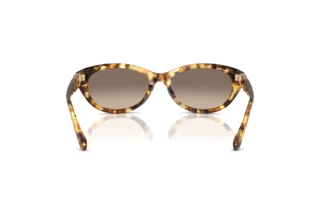 Rückansicht Ralph Lauren RL8226U (60566Y)