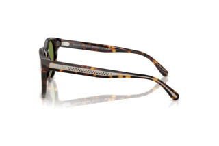 Vue latérale Ralph Lauren RL8229U (50034E)