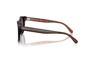 Vue latérale Ralph Lauren RL8229U (53981A)