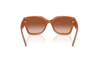 Vue arrière Ralph Lauren RL8230U (624413)