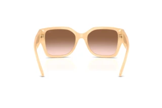 Vue arrière Ralph Lauren RL8230U (624513)