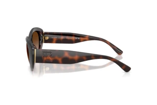 Vista laterale Ralph Lauren RL8232U (624113)