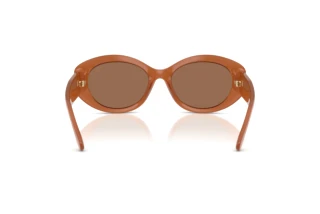 Rückansicht Ralph Lauren RL8232U (624473)