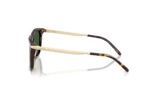 Seitenansicht Ralph Lauren RL8233U (500371)
