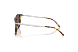 Seitenansicht Ralph Lauren RL8233U (51341A)