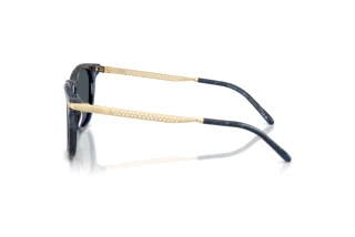 Vue latérale Ralph Lauren RL8233U (618387)