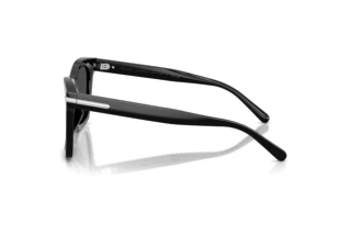 Vue latérale Ralph Lauren RL8235U (500187)