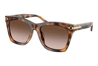 Ralph Lauren RL8235U 608913 Gradient BrownHavana