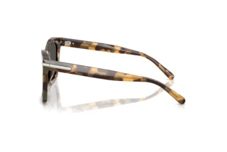 Seitenansicht Ralph Lauren RL8235U (617887)