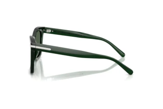 Seitenansicht Ralph Lauren RL8235U (630471)