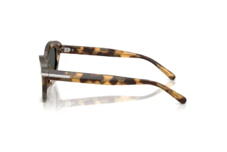 Vue latérale Ralph Lauren RL8236U (617887)