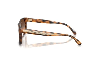Seitenansicht Ralph Lauren RL8237U (608913)