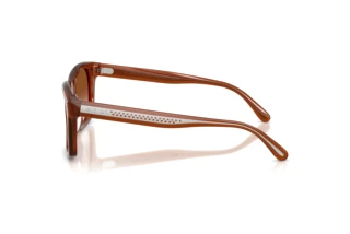 Vue latérale Ralph Lauren RL8237U (630613)