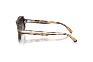 Seitenansicht Ralph Lauren RL8238U (61788G)