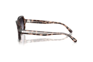 Vista laterale Ralph Lauren RL8238U (63078G)