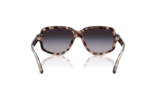 Vista posteriore Ralph Lauren RL8238U (63078G)