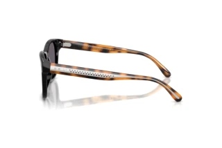 Seitenansicht Ralph Lauren RL8239U (50011A)
