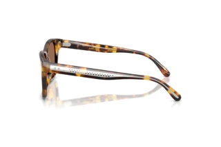 Vue latérale Ralph Lauren RL8239U (513473)