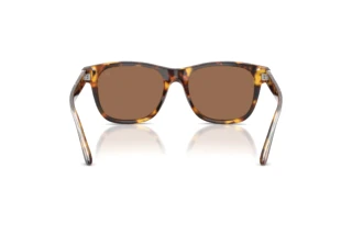Vue arrière Ralph Lauren RL8239U (513473)