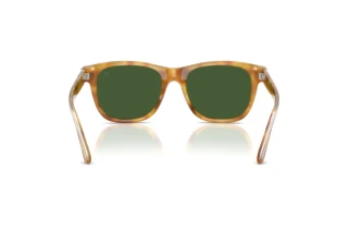 Vista posteriore Ralph Lauren RL8239U (618571)