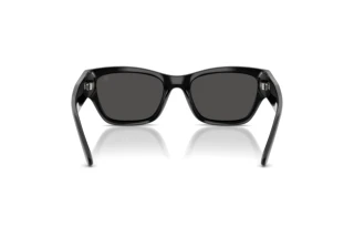 Vue arrière Ralph Lauren RL8240U (500187)