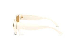 Vue latérale Ralph Lauren RL8240U (635273)
