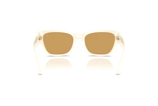 Vue arrière Ralph Lauren RL8240U (635273)