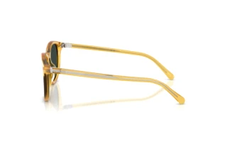 Vue latérale Ralph Lauren RL8241U (50053R)