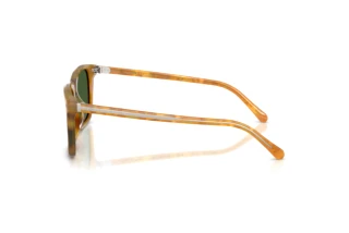 Vue latérale Ralph Lauren RL8242U (618571)