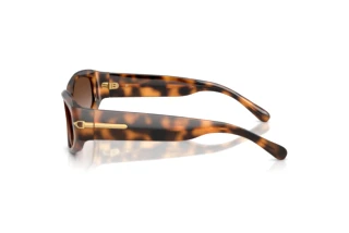 Vue latérale Ralph Lauren RL8243U (608913)