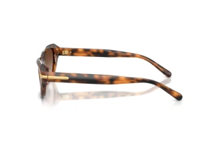 Vue latérale Ralph Lauren RL8244U (608913)