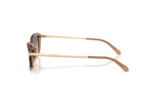Vista laterale Ralph Lauren RL8245U (637708)